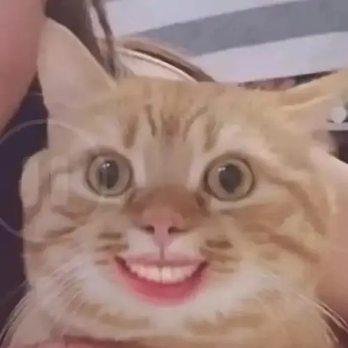69 68