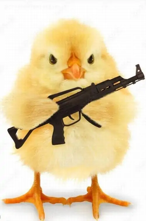 155 154