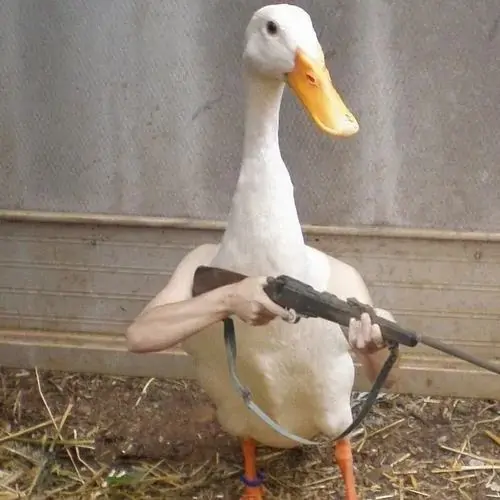 173 172