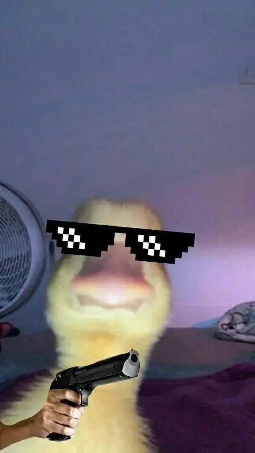 139 138