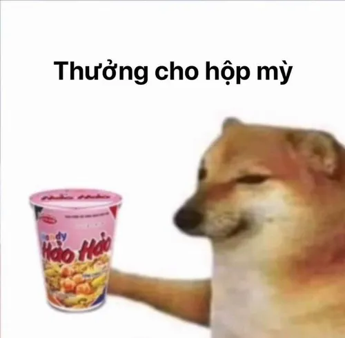 9 Chó Shiba ngồi cạnh ly trà sữa, dòng thưởng cho hộp mỳ biến lời khen thành món quà nhỏ hài hước