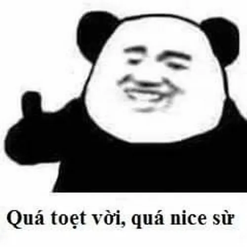 6 Chú gấu trúc cười tít và giơ tay tán thưởng, caption quá tuyệt vời quá nice sừ nghe vừa quê vừa duyên
