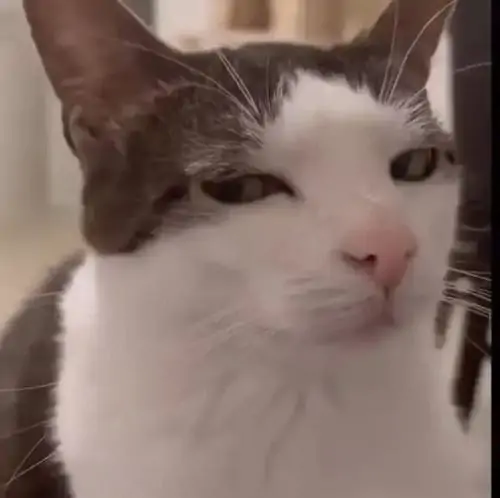 93 92