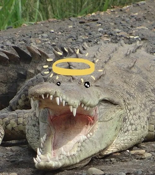 67 66