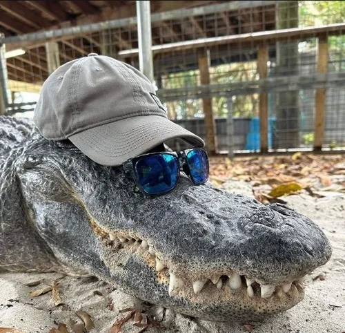 73 72
