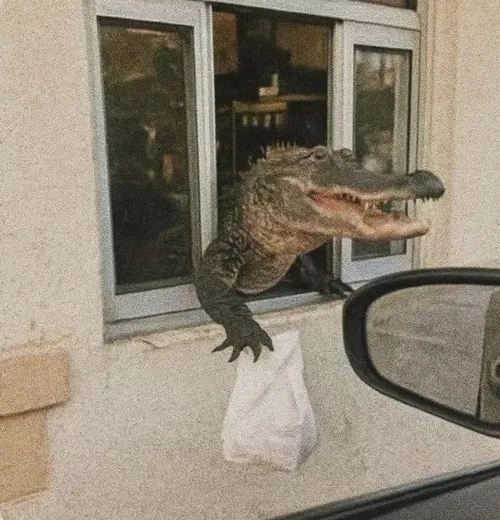 77 76