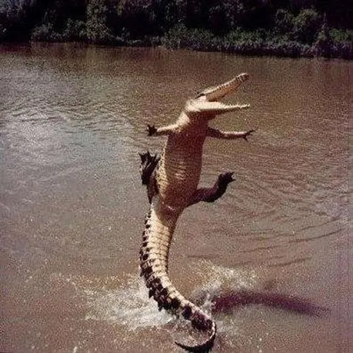 79 78