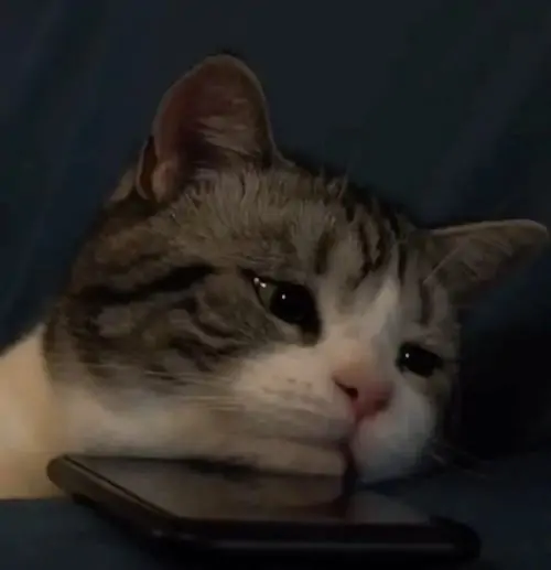 134 133