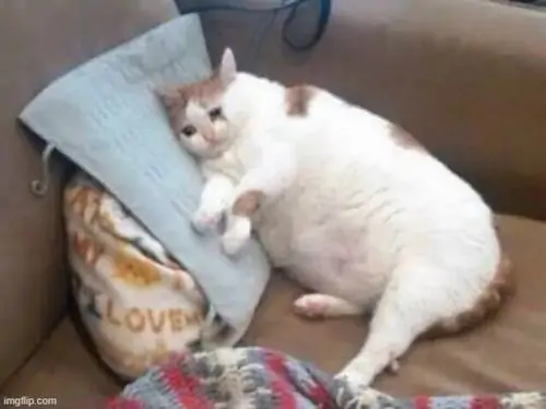 110 109