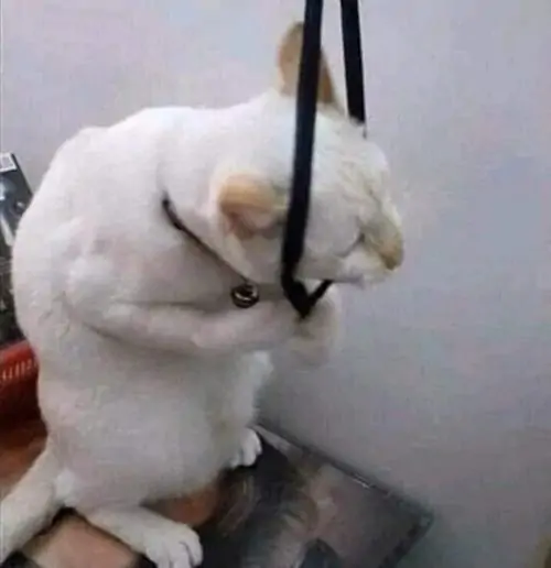 87 86