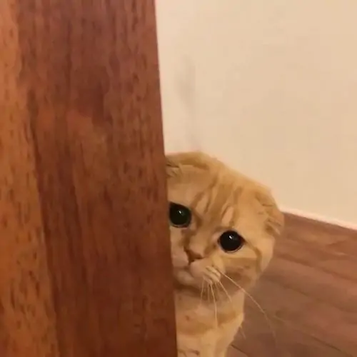 132 131