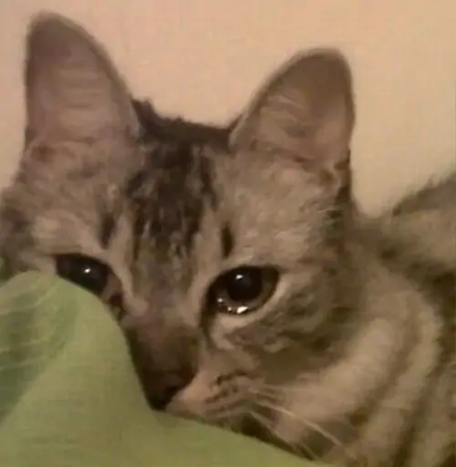 89 88