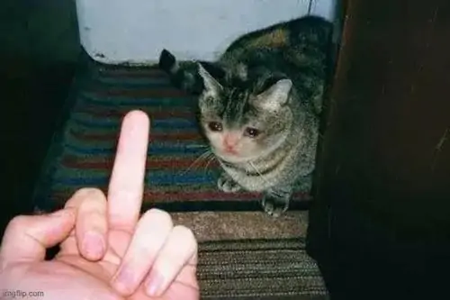 92 91