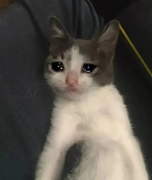 96 95
