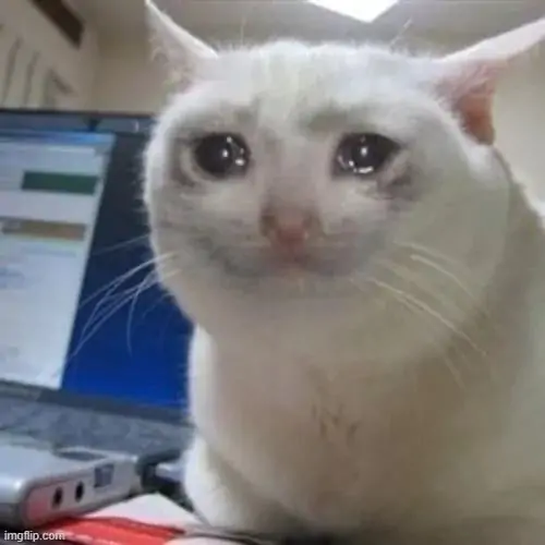 100 99