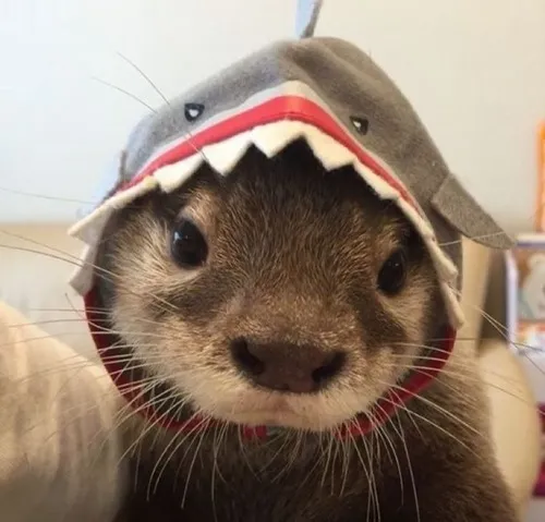 33 32