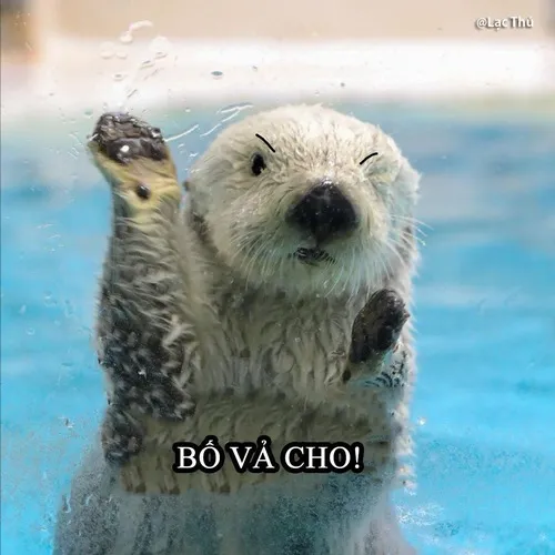 43 42
