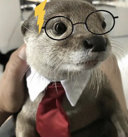 45 44