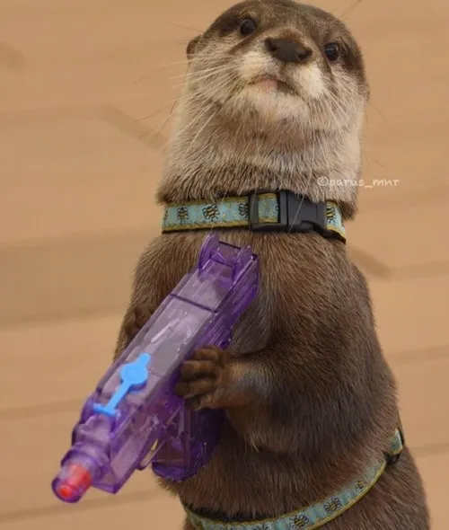 47 46