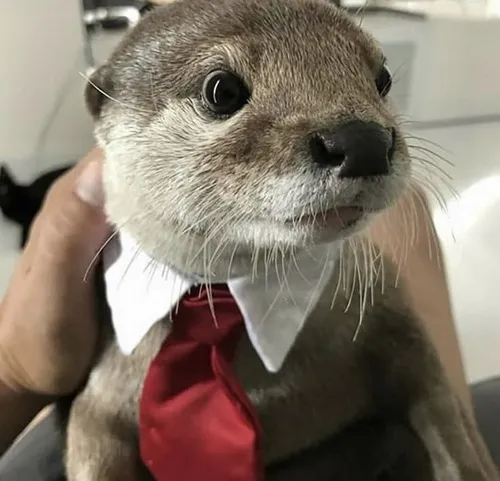 49 48
