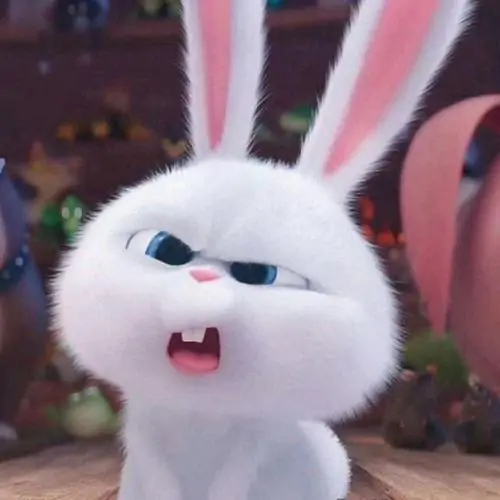 46 45