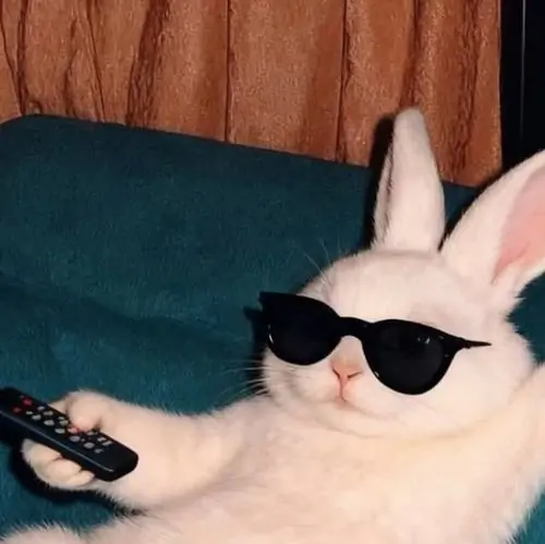 28 27