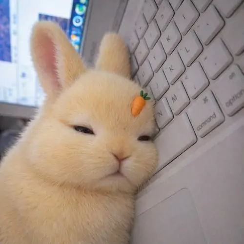 40 39