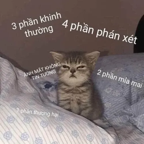 119 118