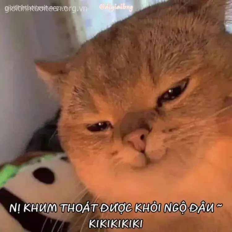 127 126