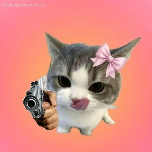 24 Meme vũ khí mèo xám đeo nơ hồng chu môi bên khẩu súng sát khung hình, nền hồng cam làm cảnh thêm đáng yêu