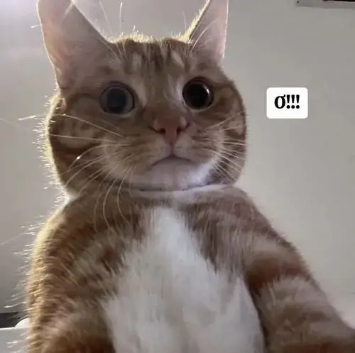 81 Ảnh Meme Ngạc Nhiên Tròn Xoe Mắt Khi Hóng Được Drama Quay Xe Quá Gắt