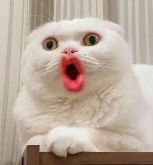 46 45