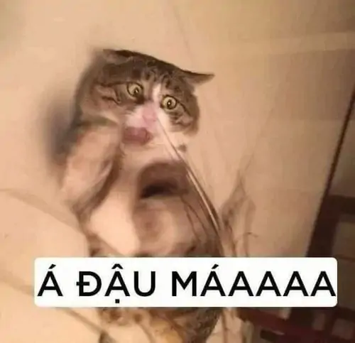 164 163