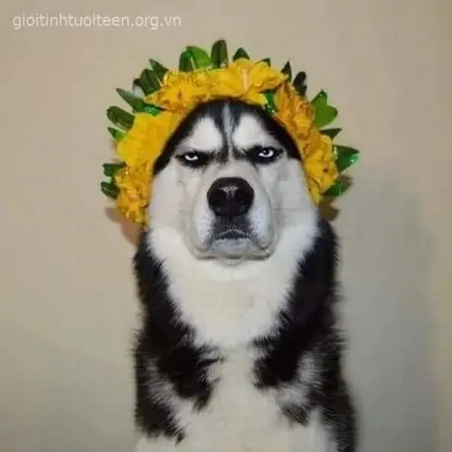 158 157