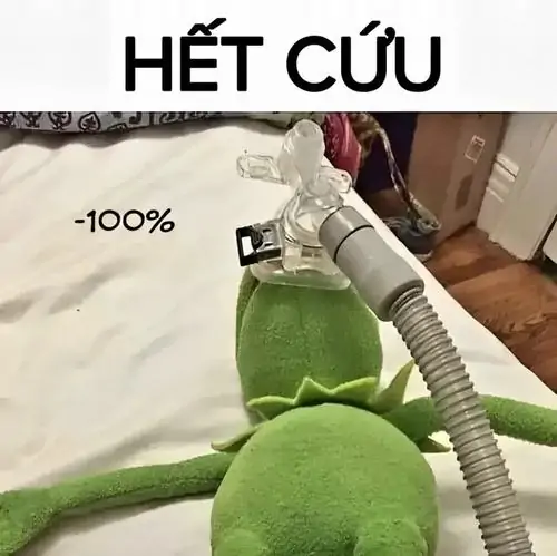 66 65