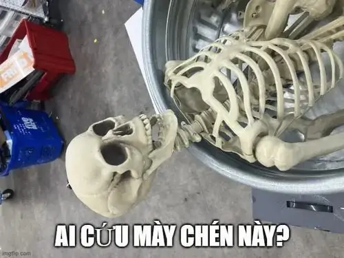 85 84