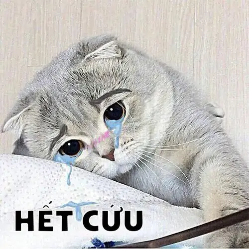 68 67