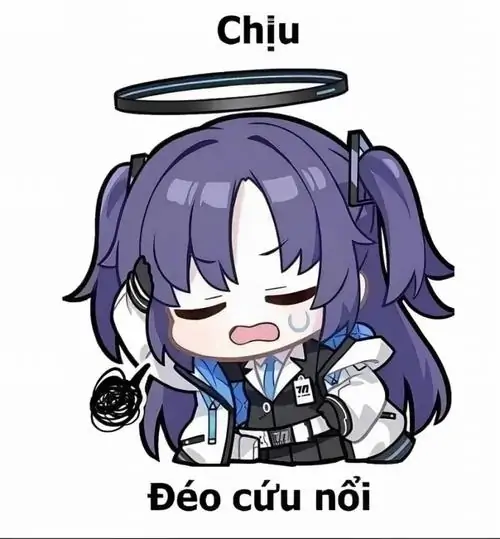 81 80