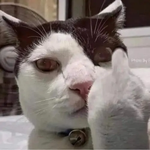 21 20