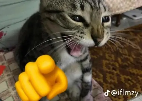 25 24