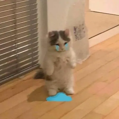 47 46