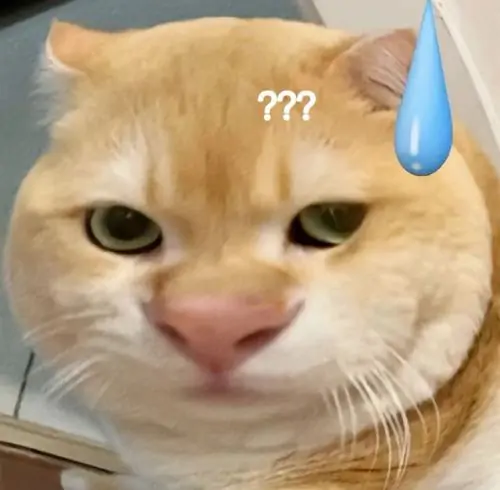 37 36