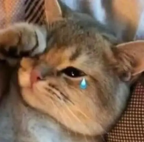 43 42