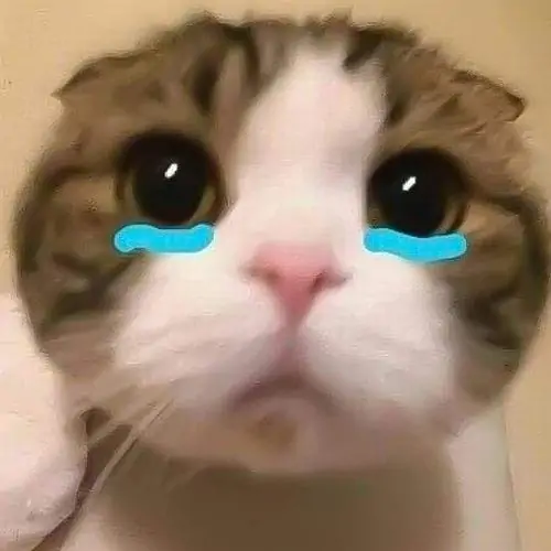 45 44