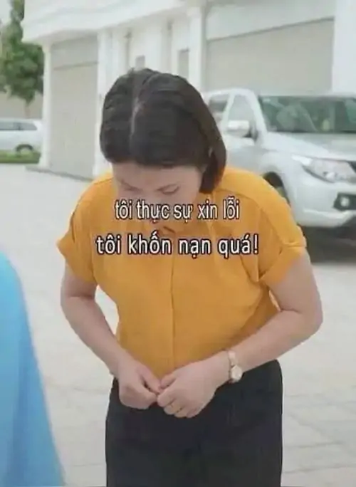 130 Ảnh Meme Xin Lỗi Giúp Bạn Làm Hòa Với Bạn Bè Người Yêu Một Cách Hài Hước Vô Tri