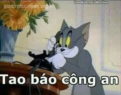 29 Tom nhìn nghiêng với nụ cười tinh quái, caption Tao báo công an khiến pha phát hiện chuyện lạ trở nên rất hợp nhóm chat