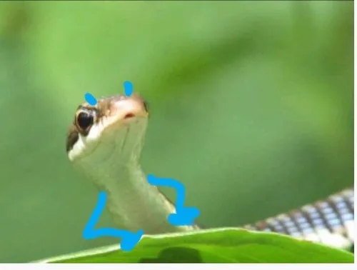 76 75