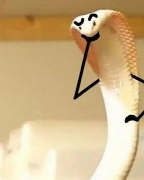 68 67