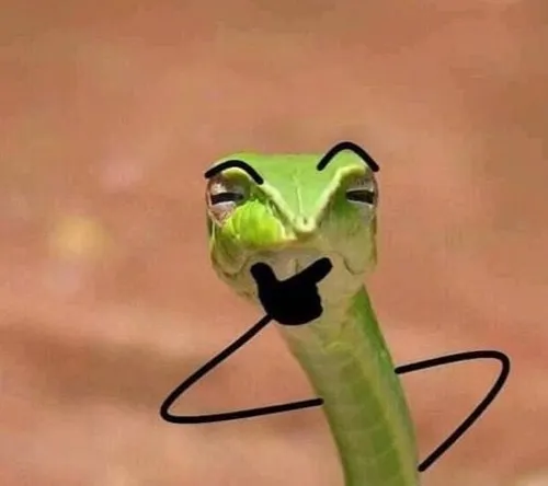 72 71