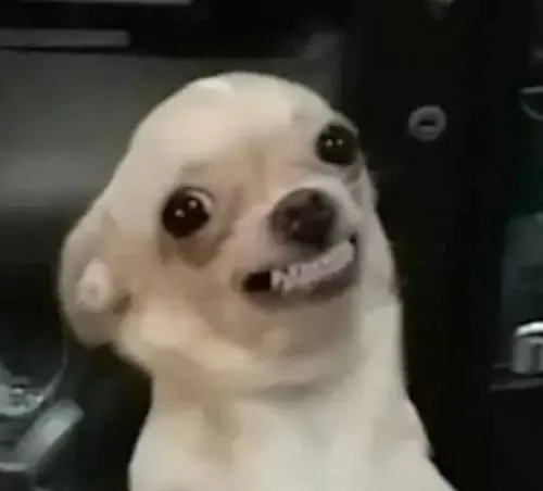 235 234